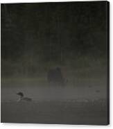 Loon And Moose In The Mist Canvas Print