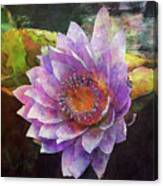Lost Lavender Lotus Blossom 4725 Ldp_2 Canvas Print
