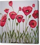 Lot's Of Poppies Canvas Print