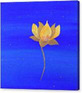 Lotus  16 X 20 Canvas Print