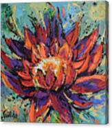 Lotus Blossom Canvas Print