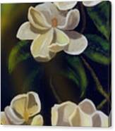 Louisiana Magnolia's Canvas Print