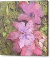 Louisiana Spring Canvas Print