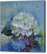 Loving Hydrangea Canvas Print