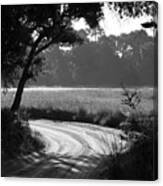 Low Country Road Canvas Print