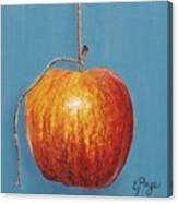 Low Hanging Apple Canvas Print