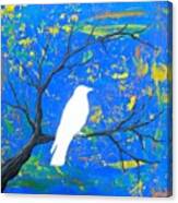 Luck Of The White Raven Blue Canvas Print