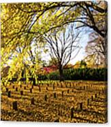 Lynchburg Old City Cemetery In Autumn Canvas Print