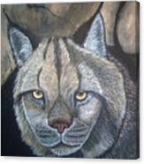 Lynx Canvas Print