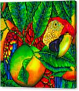 Macaw And Oranges - Exotic Bird Canvas Print