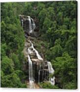 Magnificent Whitewater Falls Canvas Print