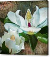 Magnolias Canvas Print