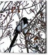 Magpie In A Snowstorm Canvas Print