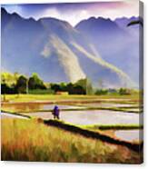 Mai Chau Paddy Field Canvas Print