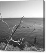 Maine Coastline Canvas Print