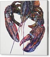 Maine Lobster Canvas Print