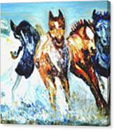Majestic Horses Canvas Print