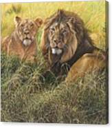Male And Female Lion Canvas Print