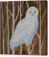 Male Snowy Owl Portrait Canvas Print