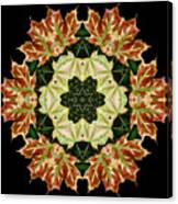 Mandala Autumn Star Canvas Print