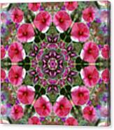 Mandala Pink Patron Canvas Print