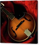 Mandolin Guitar 66661 Canvas Print