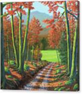 Maple Forest Road Canvas Print