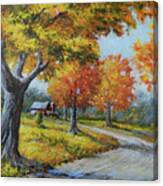 Maple Road Canvas Print