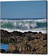 March Breakers Canvas Print