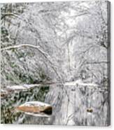 March Snow Along Cranberry River Canvas Print
