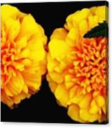 Marigolds With Oil Painting Effect Canvas Print