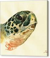 Marine Turtle Canvas Print