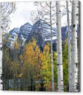Maroon Bells - The Aspen View Canvas Print