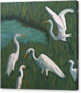 Marsh Gathering Canvas Print