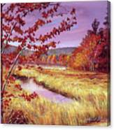 Marsh Grass Canvas Print