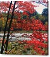 Marsh In Autumn Canvas Print