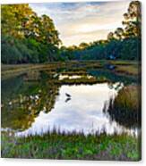 Marsh In The Morning Canvas Print