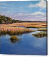 Marshland In Florida Canvas Print