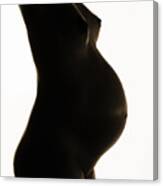 Maternity 64 Canvas Print