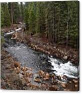 Mccloud River Canvas Print