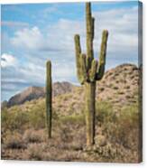 Mcdowell Mountains Canvas Print
