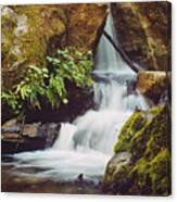 Mcway Creek Falls 1 Canvas Print