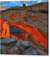 Mesa Arch Morning Light Canvas Print