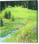 Mid-summer Meadow Canvas Print