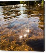 Middle Of The River Canvas Print