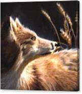 Midnight Fox Canvas Print
