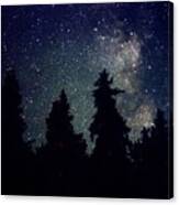 Milky Way Above Northern Forest 22 Canvas Print