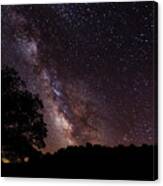 Milky Way And The Tree Canvas Print