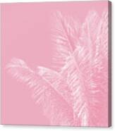 Millennial Pink Illumination Of Heart White Tropical Palm Hawaii Canvas Print