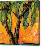 Mimosa Sky Palm Canvas Print